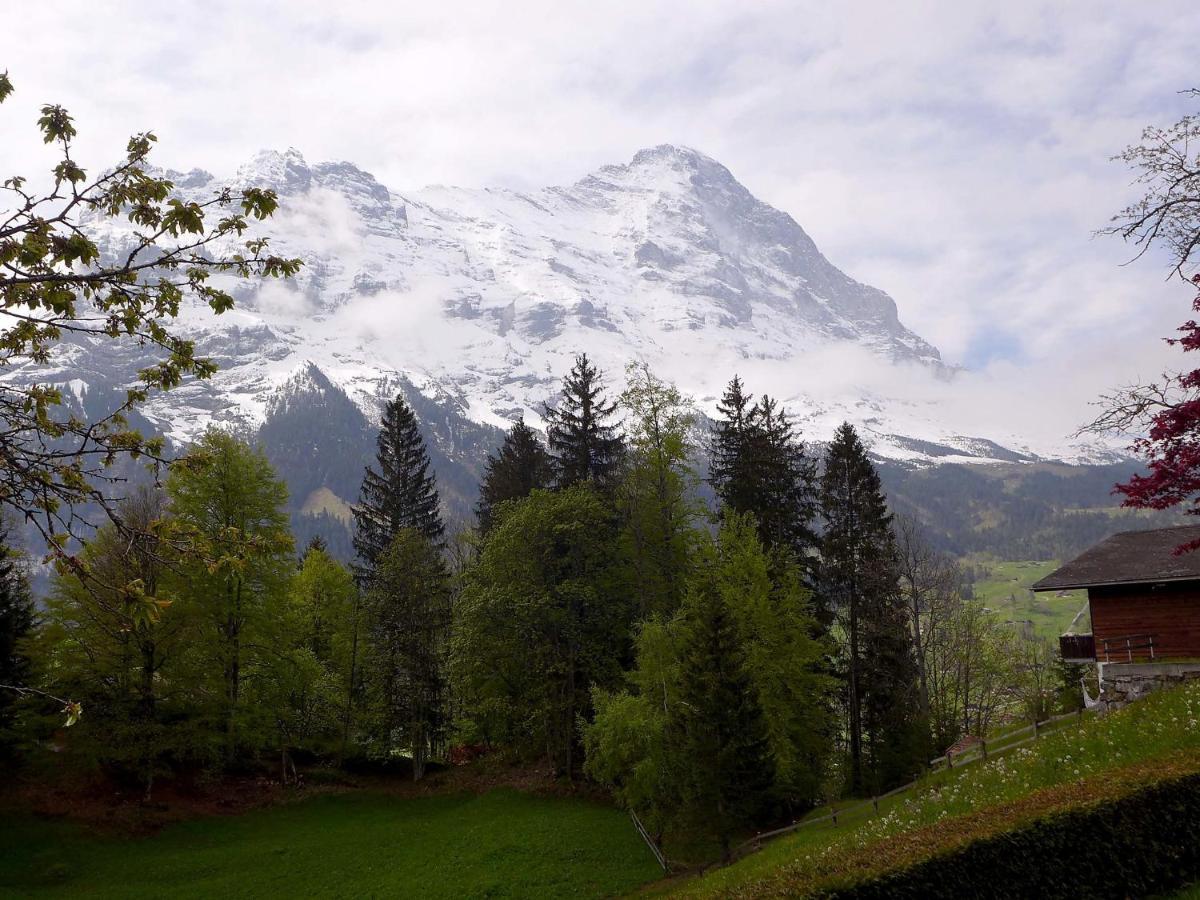 Apartment Chalet Jrene By Interhome Grindelwald Exterior foto