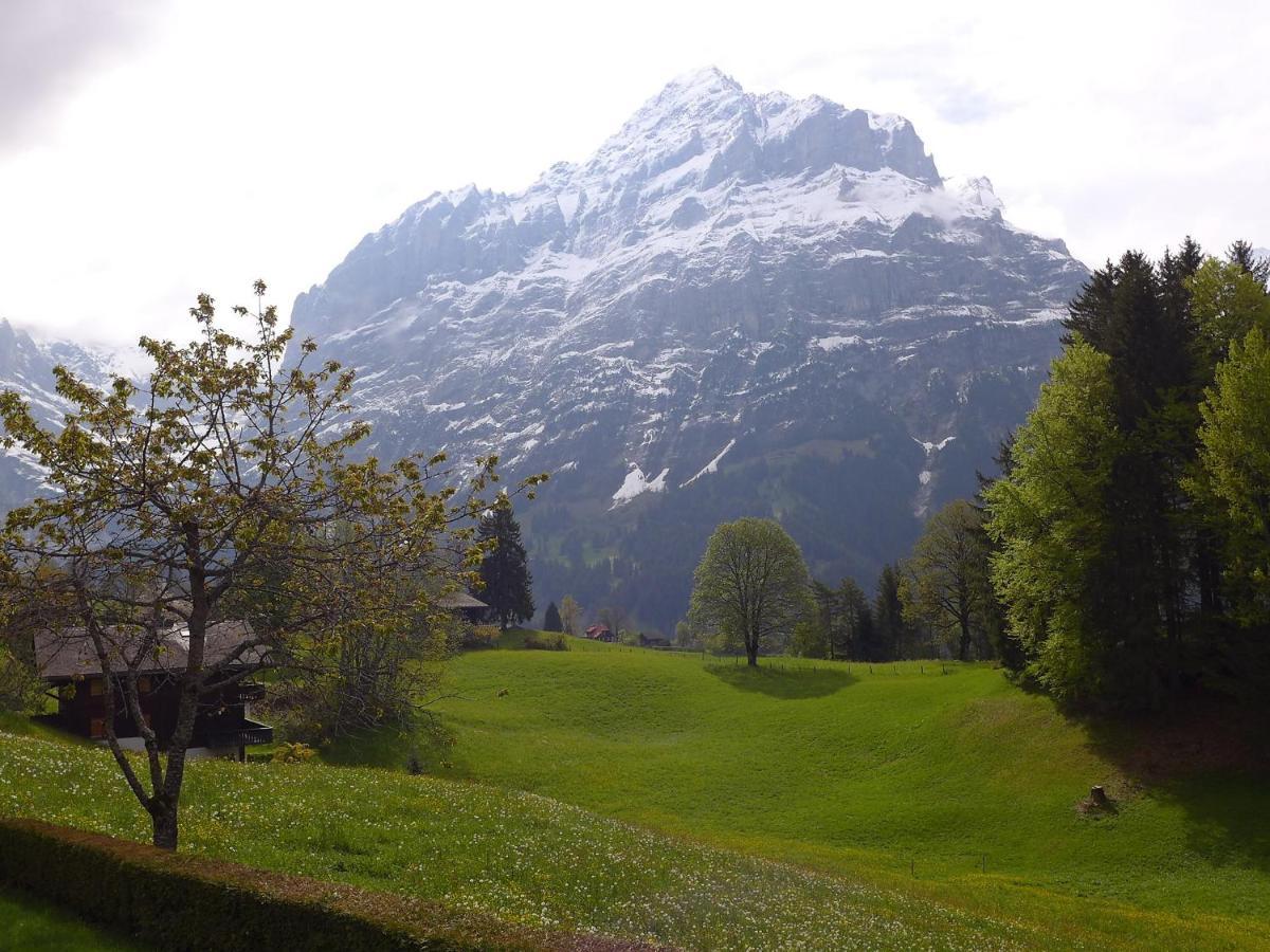 Apartment Chalet Jrene By Interhome Grindelwald Exterior foto